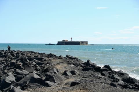 Élagueur Agde
