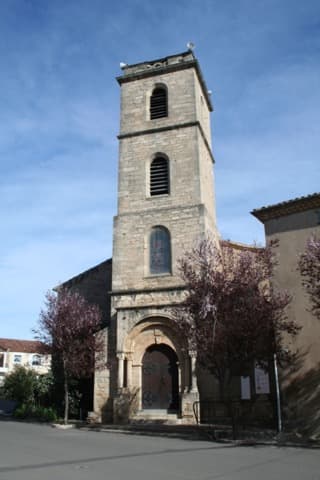 Élagueur Alignan-du-Vent