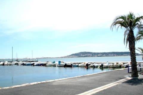 Élagueur Balaruc-les-Bains