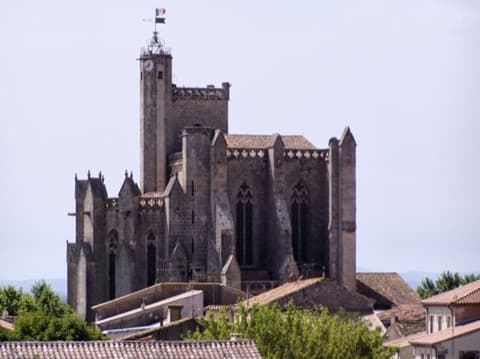 Élagueur Capestang