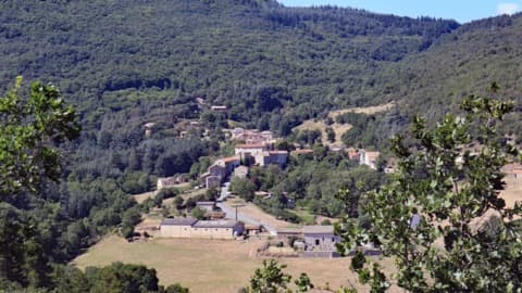Élagueur Cassagnoles
