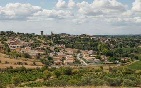 Élagueur Castelnau-de-Guers
