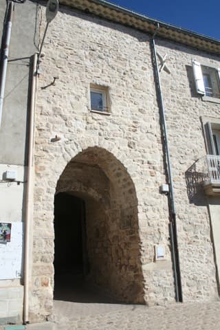 Élagueur Causses-et-Veyran