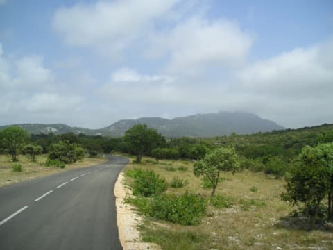 Élagueur Cazevieille