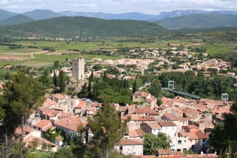 Élagueur Cessenon-sur-Orb