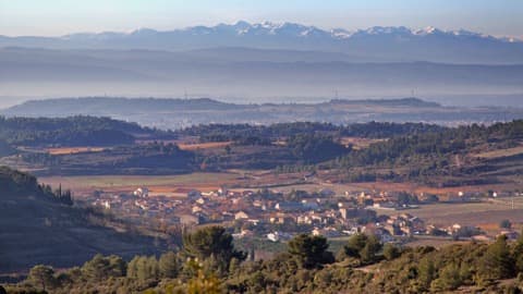 Élagueur Félines-Minervois