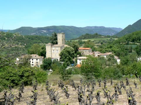 Élagueur Fozières