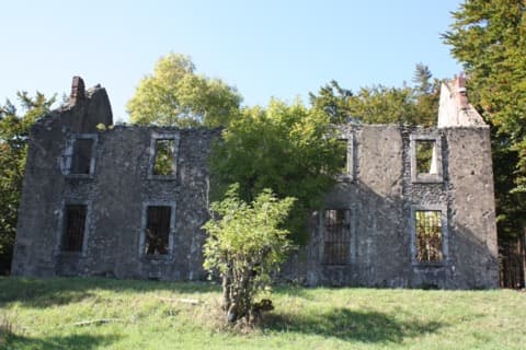 Élagueur Fraisse-sur-Agout