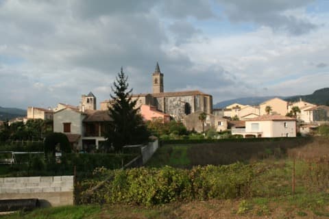 Élagueur Hérépian
