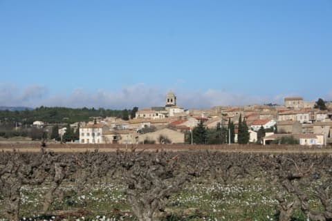Élagueur La Livinière