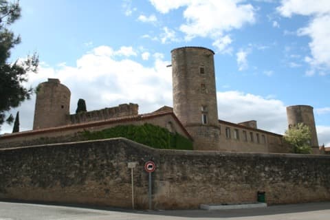 Élagueur Maureilhan