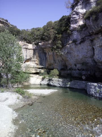 Élagueur Minerve