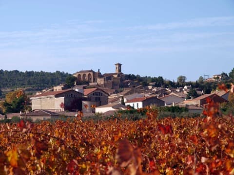 Élagueur Montouliers