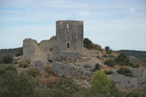 Élagueur Montoulieu