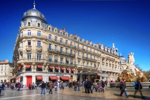 Élagueur Montpellier