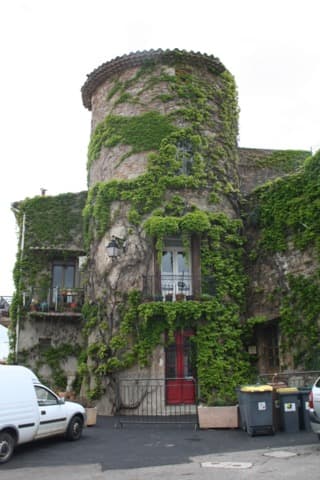Élagueur Neffiès