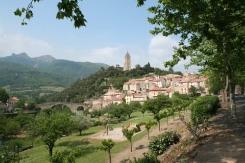 Élagueur Olargues