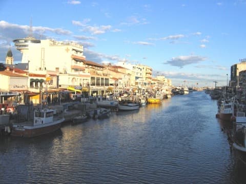 Élagueur Palavas-les-Flots