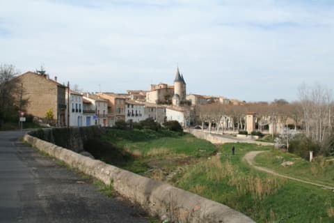 Élagueur Pouzolles