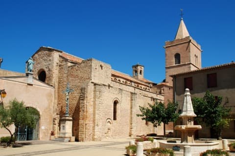 Élagueur Quarante