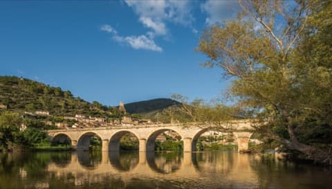 Élagueur Roquebrun