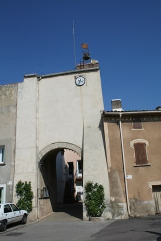 Élagueur Saint-Bauzille-de-la-Sylve