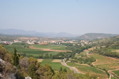 Élagueur Saint-Chinian