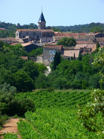 Élagueur Saint-Drézéry