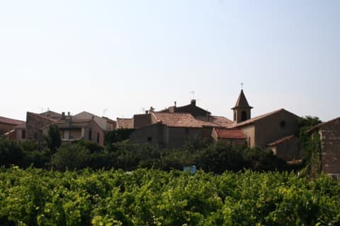 Élagueur Saint-Jean-de-Minervois