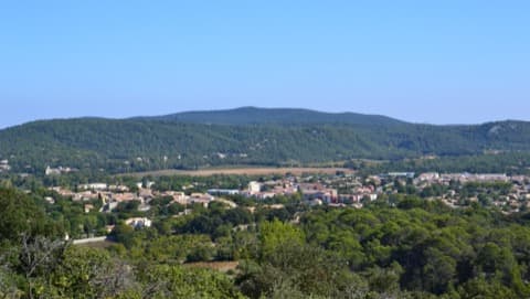 Élagueur Saint-Mathieu-de-Tréviers