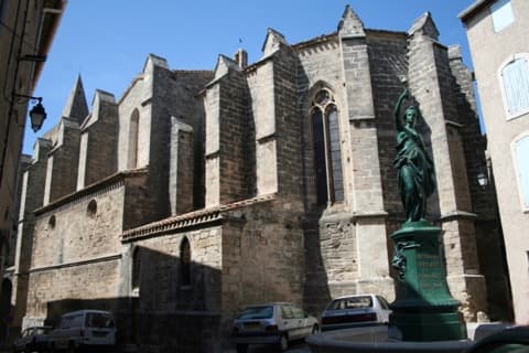 Élagueur Saint-Pargoire