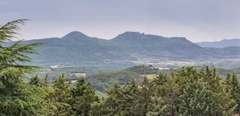 Élagueur Saint-Saturnin-de-Lucian