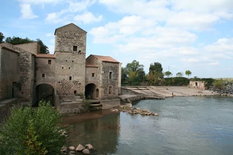 Élagueur Saint-Thibéry