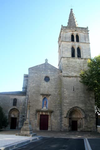 Élagueur Sérignan