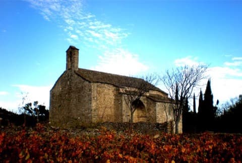 Élagueur Siran