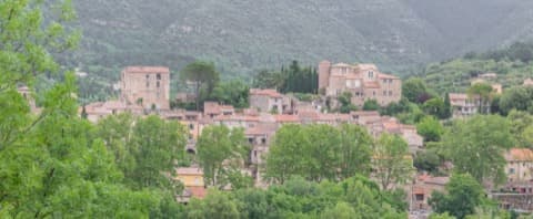Élagueur Soubès
