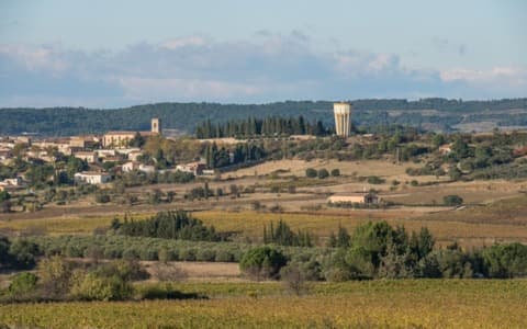 Élagueur Villeveyrac