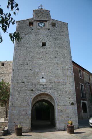 Élagueur Viols-le-Fort